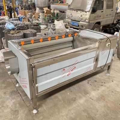 linea di trasformazione della verdura della rondella della bolla della sbucciatrice del rolle della lana della carota 500kg/h e dei vegetali della macchina di pulizia della frutta