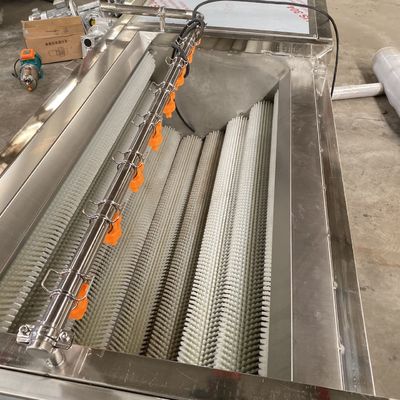 linea di trasformazione della verdura della rondella della bolla della sbucciatrice del rolle della lana della carota 500kg/h e dei vegetali della macchina di pulizia della frutta