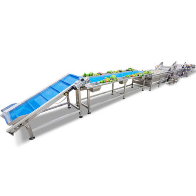 Linea di trasformazione a spazzole automatica della frutta e di verdura della patata