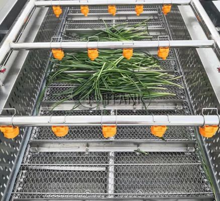 Rondella della bolla SUS304 per la linea di trasformazione di verdura e della frutta