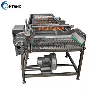 Macchina di pulizia automatica industriale di lavaggio della frutta e della verdura per l'insalata del pomodoro